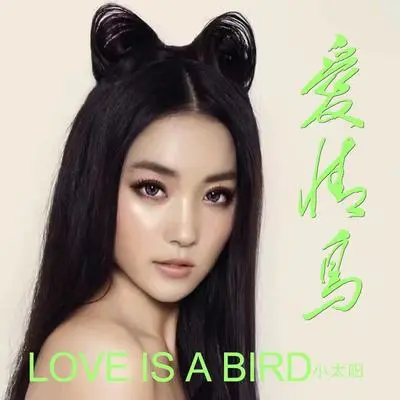 爱情鸟 - 未知歌手封面
