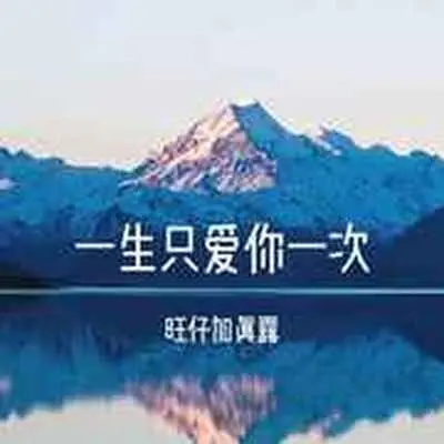 一生只爱你一次(抒情版)(抒情版)封面