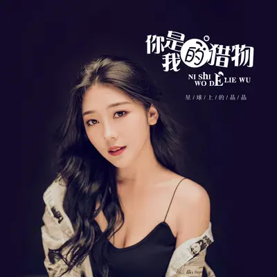 你是我的猎物封面