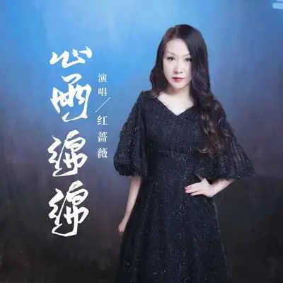 心雨绵绵封面