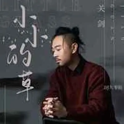 小小的草(DJ九零版)(DJ九零版)封面