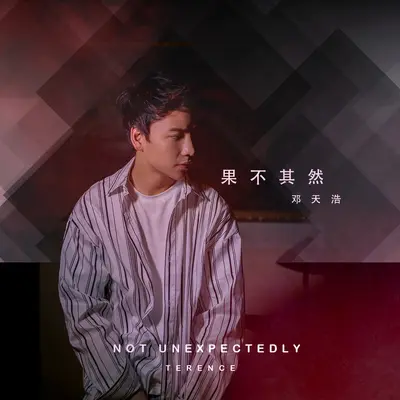 果不其然封面