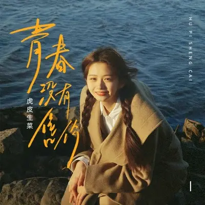 青春没有售价封面