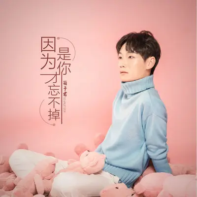 因为是你才忘不掉封面