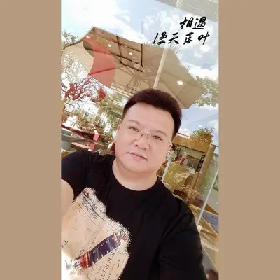 漫天落叶封面