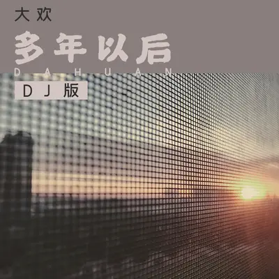 多年以后 (2019DJ阿圣REMIX)封面