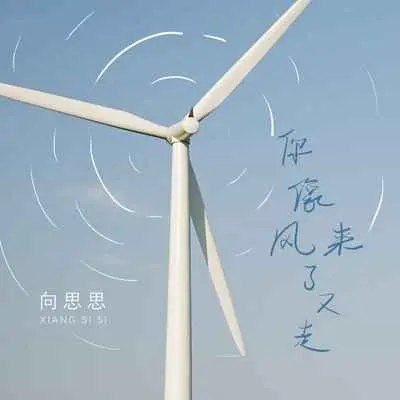 你像风来了又走 - 向思思封面