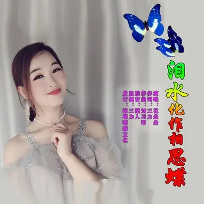 泪水化作相思蝶(DJheap九天版)(DJheap九天版)封面