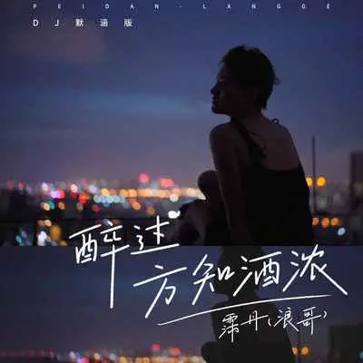 醉过方知酒浓(DJ默涵版)(DJ默涵版)封面