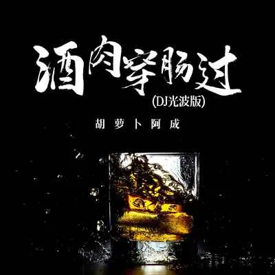 酒肉穿肠过(DJ光波版)(DJ光波版)封面