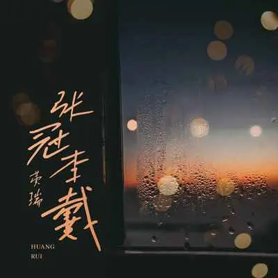 张冠李戴封面