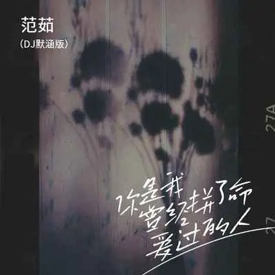 你是我曾经拼了命爱过的人(DJ默涵版)(DJ默涵版)封面