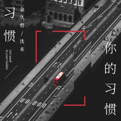 习惯你的习惯封面