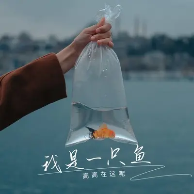 我是一只鱼(DJ九零版)(DJ九零版)封面