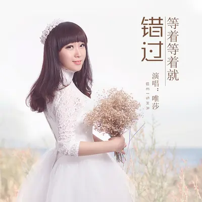 等着等着就错过 - 唯莎封面