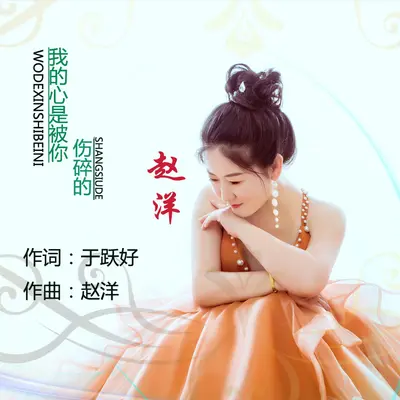 我的心是被你伤碎的封面
