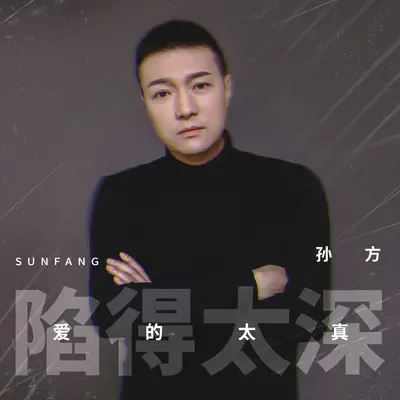 陷得太深,爱的太真(DJ默涵版)(DJ默涵版)封面