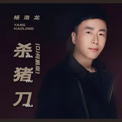 杀猪刀(DJ何鹏版)(DJ何鹏版)封面