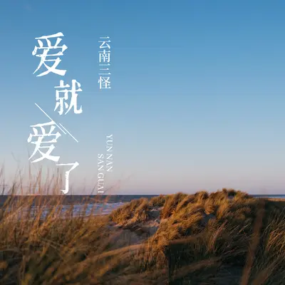 爱就爱了(DJ R7版)(DJ R7版) - 云南三怪封面