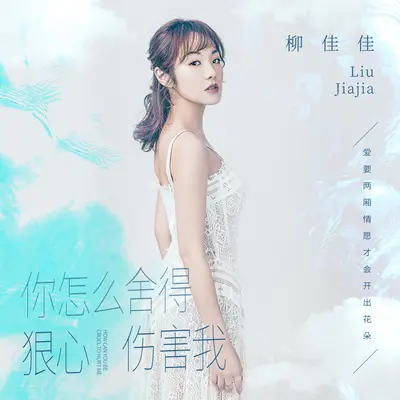你怎么舍得狠心伤害我封面