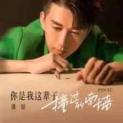 你是我这辈子撞过的南墙 - 潘旭封面