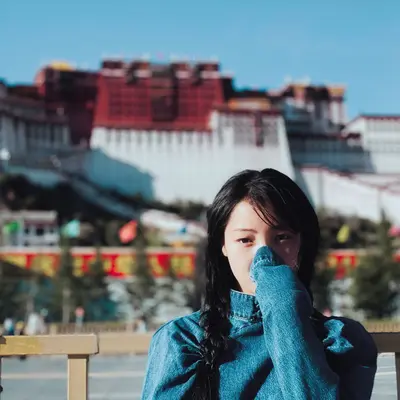 再见布达拉封面