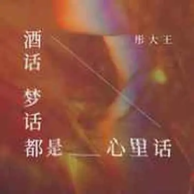 酒话梦话都是心里话(DJ默涵版)(DJ默涵版)封面