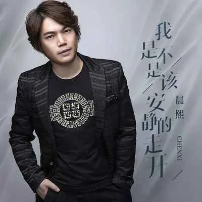 我是不是该安静的走开封面