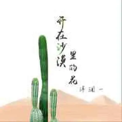 开在沙漠里的花封面