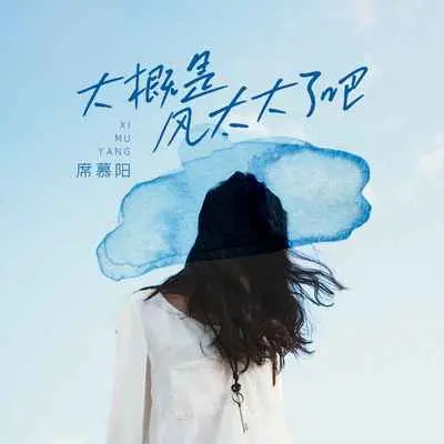 大概是风太大了吧(DJ九零版)(DJ九零版)封面