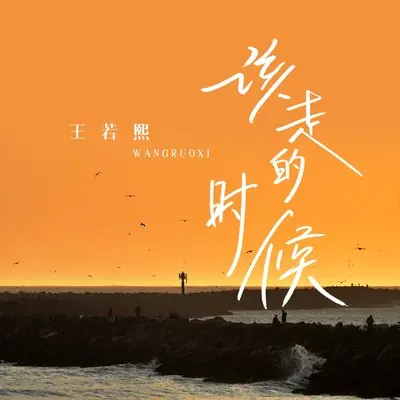 该走的时候(伴奏)(伴奏)封面