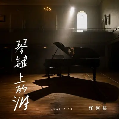 琴键上的泪(DJ沈念版伴奏)(DJ沈念版伴奏) - 怪阿姨封面