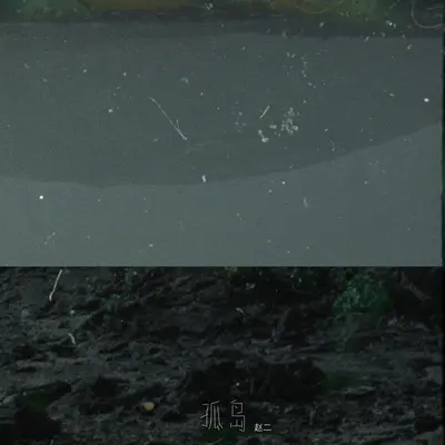 孤岛（《画江湖之不良人》第五季插曲）封面