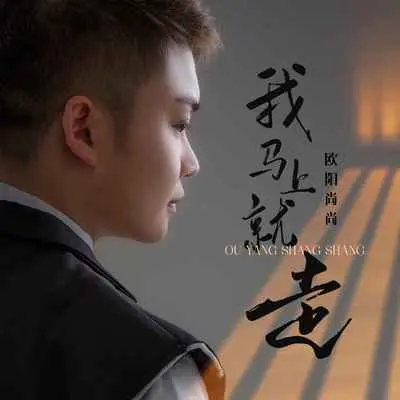 我马上就走(伴奏)封面