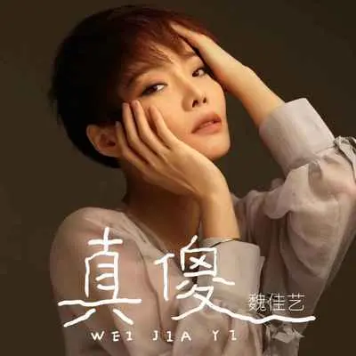 真傻(DJ默涵版)(DJ默涵版)封面
