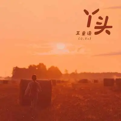 丫头(0.8x)封面