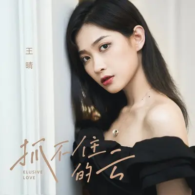 抓不住的云 - 王晴封面