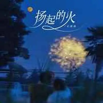 扬起的火(DJ默涵版)(DJ默涵版)封面