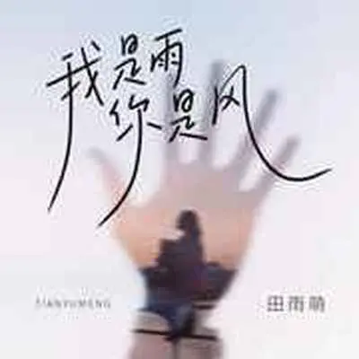 我是雨你是风(DJ陌梦版)(DJ陌梦版)封面