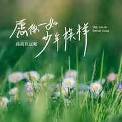 愿你一如少年模样(DJ德朋版)(DJ德朋版)封面