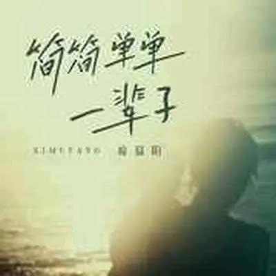 简简单单的一辈子(DJ京仔版)(DJ京仔版)封面