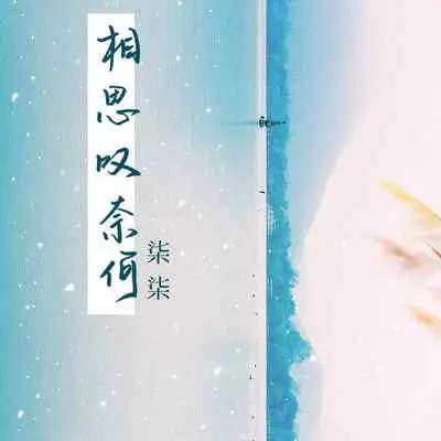 相思叹奈何(伴奏)封面