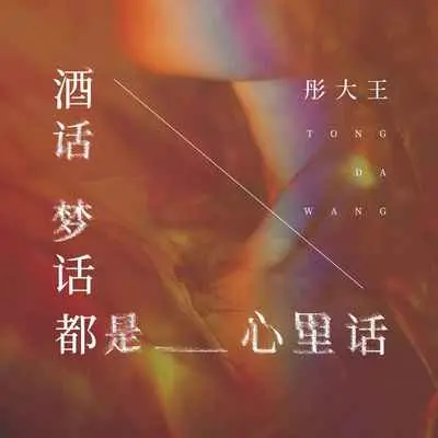 酒话梦话都是心里话(伴奏)封面