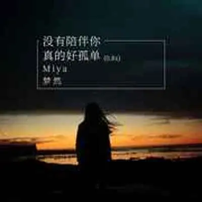 没有你陪伴真的好孤单(0.8x)封面