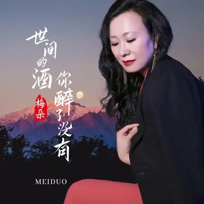 世间的酒你醉了没有封面