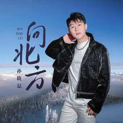 向北方(伴奏)封面