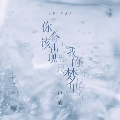 你不该出现我的梦里封面