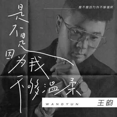 是不是因为我不够温柔 (DJ京仔版)封面