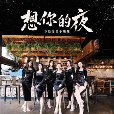 你要追就追姐给你机会(伴奏)封面