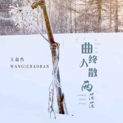 曲终人散两茫茫(DJ版)(DJ版)封面
